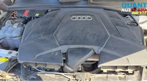 Audi Q8 Quattro 3.0 2019 DCB Engine