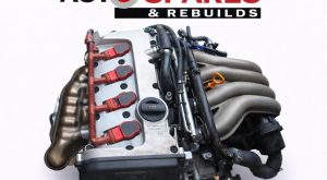 Q-1644 ENGINE - Copy